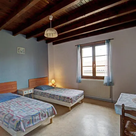Familial Avec Cheminee, Jardin Et Espace Jeux Pres De Chazelles-sur-lyon Et St-galmier - Fr-1-496-281 Holiday home