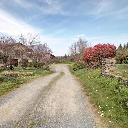Holiday home Familial Avec Cheminee, Jardin Et Espace Jeux Pres De Chazelles-sur-lyon Et St-galmier - Fr-1-496-281 Saint-Medard-en-Forez