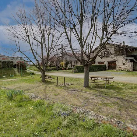 Holiday home Familial Avec Cheminee, Jardin Et Espace Jeux Pres De Chazelles-sur-lyon Et St-galmier - Fr-1-496-281