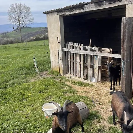 Familial Avec Cheminee, Jardin Et Espace Jeux Pres De Chazelles-sur-lyon Et St-galmier - Fr-1-496-281 Сasa de vacaciones Saint-Médard-en-Forez