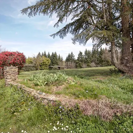 Familial Avec Cheminee, Jardin Et Espace Jeux Pres De Chazelles-sur-lyon Et St-galmier - Fr-1-496-281 Сasa de vacaciones